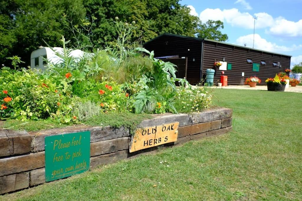 Glamping At South Lytchett Manor Campeggio *
